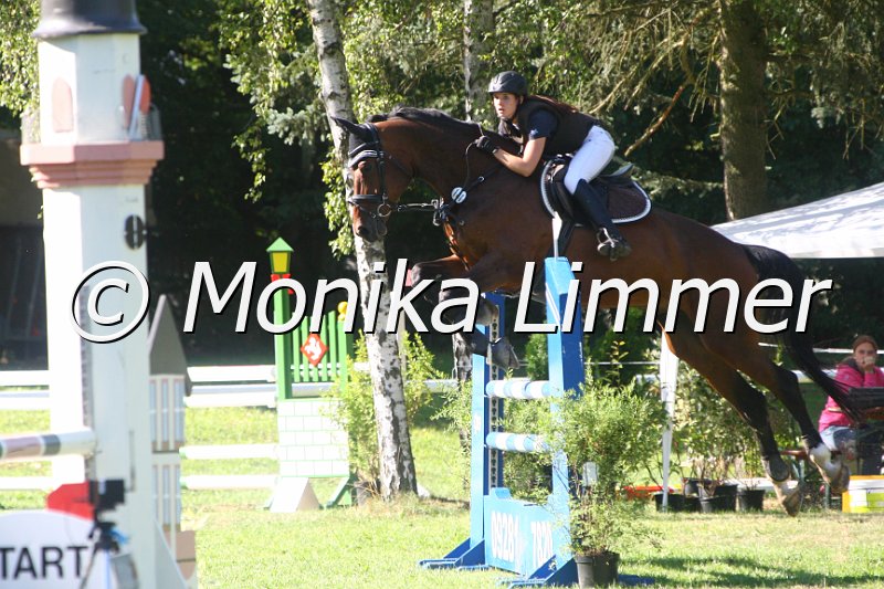 308M1250_Spring L.JPG